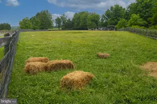 19511 Telegraph Springs Rd, Purcellville, VA 20132 - Photo 102