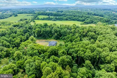 19016 Bridle Branch Lane, Purcellville, VA 20132 - Photo 104