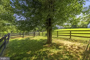 36951 Wellington Dr, Purcellville, VA 20132 - Photo 110