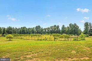 38217 Mountain Air Ln, Lovettsville, VA 20180 - Photo 54