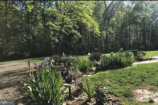 41272 Stone School Ln, Leesburg, VA 20175 - Photo 16
