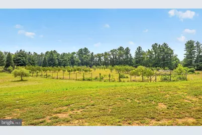 38217 Mountain Air Lane, Lovettsville, VA 20180 - Photo 54