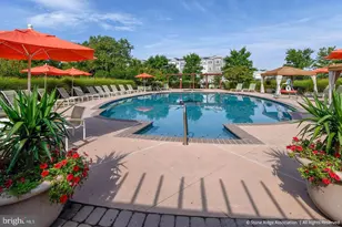 24682 Byrne Meadow Square, Aldie, VA 20105 - Photo 24