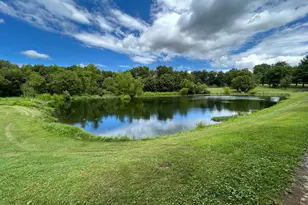 14205 Milltown Rd, Lovettsville, VA 20180 - Photo 4
