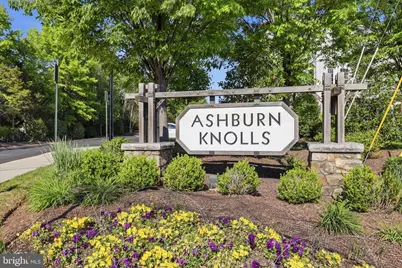 43450 Sweet Brandy Terrace, Ashburn, VA 20147 - Photo 4