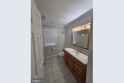 41234 Bridges Farm Lane, Leesburg, VA 20175 - Photo 20
