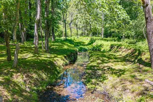 38386 Little River Tpke, Middleburg, VA 20117 - Photo 88
