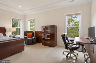 24535 Mountain Magnolia Pl, Aldie, VA 20105 - Photo 12