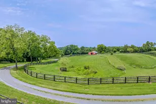 19949 Pleasant Meadow Ln, Purcellville, VA 20132 - Photo 54