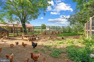 12051 Mountain Watch Ct, Lovettsville, VA 20180 - Photo 60