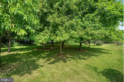 12179 Enfield Lane, Lovettsville, VA 20180 - Photo 50