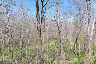 20717 Waterfall Branch Terrace, Sterling, VA 20165 - Photo 20