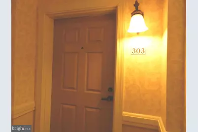 44485 Chamberlain Terrace #303, Ashburn, VA 20147 - Photo 2