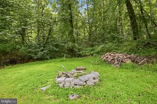 13413 Mountain Rd, Lovettsville, VA 20180 - Photo 38