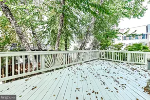 46790 Manchester Terrace, Sterling, VA 20165 - Photo 48
