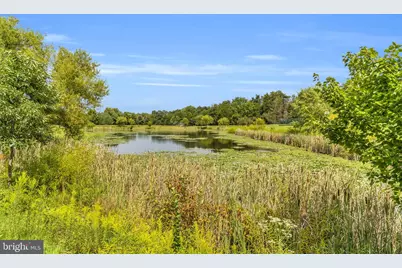 25241 Beach Place, Chantilly, VA 20152 - Photo 46