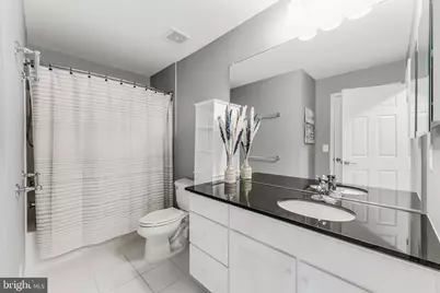 314 Virginia Wildflower Terrace SE, Leesburg, VA 20175 - Photo 38