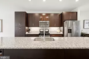 254 Bluemont Branch Terrace SE, Leesburg, VA 20175 - Photo 12