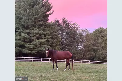 34994 Williams Gap Road, Round Hill, VA 20141 - Photo 38