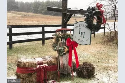 34994 Williams Gap Road, Round Hill, VA 20141 - Photo 30