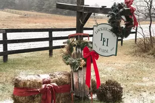 34994 Williams Gap Rd, Round Hill, VA 20141 - Photo 30