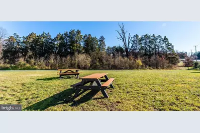 21523 Willow Breeze Square, Ashburn, VA 20147 - Photo 50