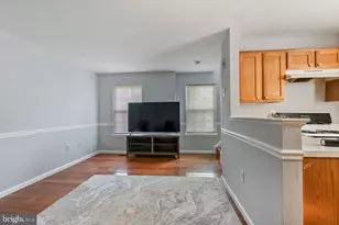 46049 Marble Terrace, Sterling, VA 20166 - Photo 48