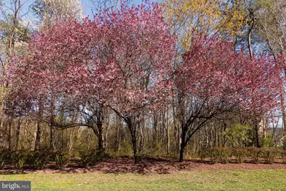 47761 Scotsborough Square #106, Sterling, VA 20165 - Photo 18