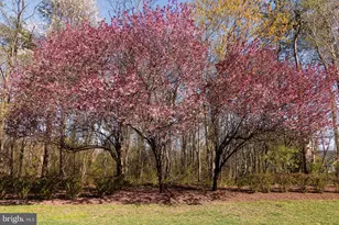 47761 Scotsborough Square, Sterling, VA 20165 - Photo 18