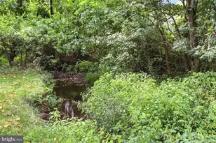 34141 Snickersville Turnpike, Bluemont, VA 20135 - Photo 40