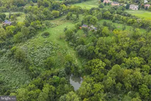 16694 Old Waterford Rd, Paeonian Springs, VA 20129 - Photo 76