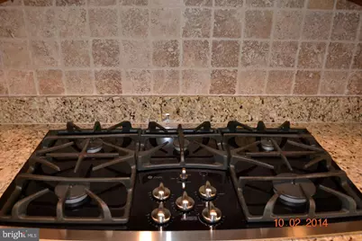 44264 Panther Ridge Drive, Ashburn, VA 20147 - Photo 4