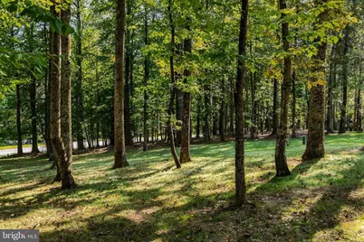 40920 Forest Glen Drive, Leesburg, VA 20175 - Photo 76