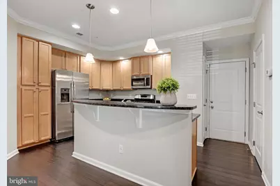 42119 Piebald Square, Aldie, VA 20105 - Photo 4