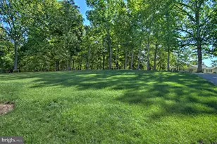 37682 Cooksville Rd, Purcellville, VA 20132 - Photo 14