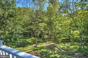 37682 Cooksville Rd, Purcellville, VA 20132 - Photo 22
