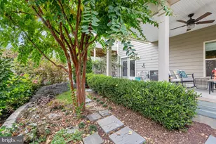 44241 Silverpalm Grove Terrace, Leesburg, VA 20176 - Photo 48