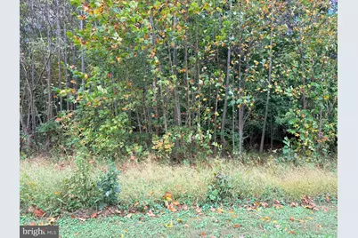 12813 James Monroe Highway, Leesburg, VA 20176 - Photo 2
