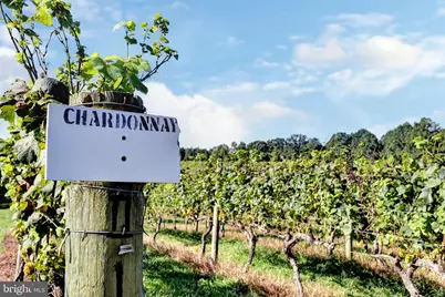 1025 Good Luck Road, Kilmarnock, VA 22482 - Photo 26