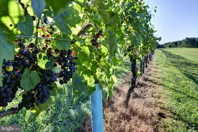 1025 Good Luck Road, Kilmarnock, VA 22482 - Photo 18