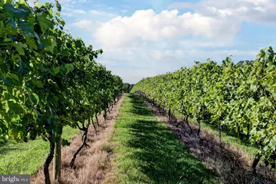 1025 Good Luck Road, Kilmarnock, VA 22482 - Photo 24