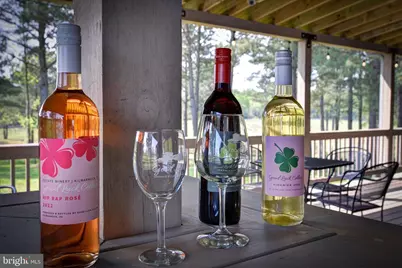 1025 Good Luck Road, Kilmarnock, VA 22482 - Photo 40