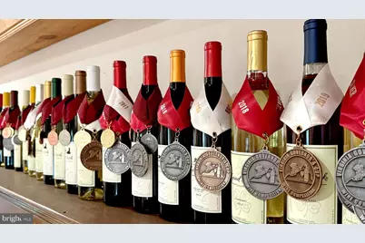 1025 Good Luck Road, Kilmarnock, VA 22482 - Photo 44