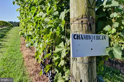 1025 Good Luck Road, Kilmarnock, VA 22482 - Photo 22