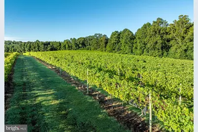 1025 Good Luck Road, Kilmarnock, VA 22482 - Photo 112