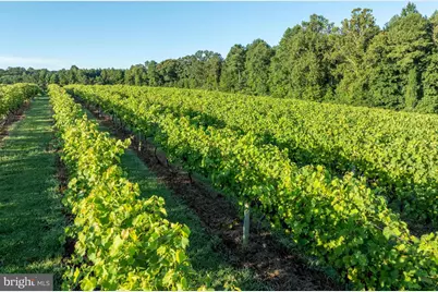 1025 Good Luck Road, Kilmarnock, VA 22482 - Photo 28