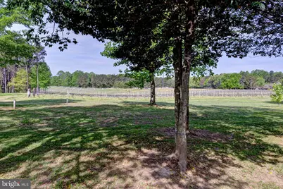 1025 Good Luck Road, Kilmarnock, VA 22482 - Photo 86