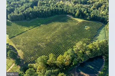 1025 Good Luck Road, Kilmarnock, VA 22482 - Photo 110