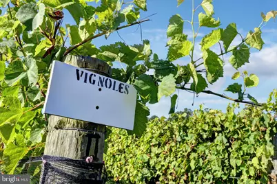 1025 Good Luck Road, Kilmarnock, VA 22482 - Photo 20