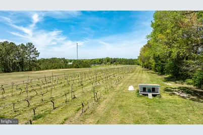 1025 Good Luck Road, Kilmarnock, VA 22482 - Photo 92